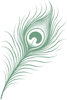 A peacock feather.